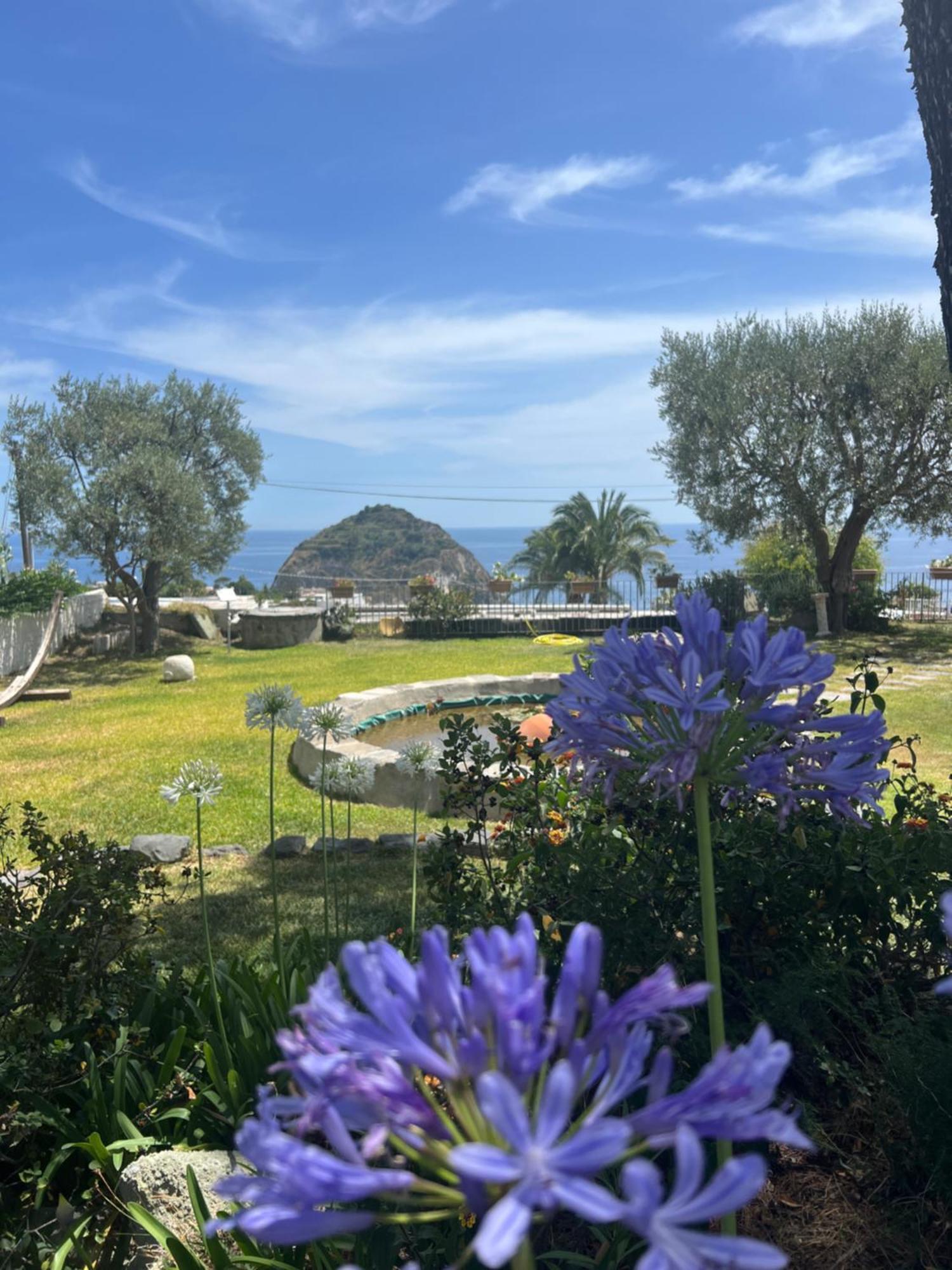 Hotel Borgo Romantica - & Sant'Angelo (Isola d'Ischia)